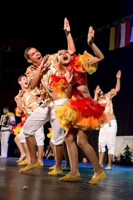 Mezinárodní folklórní festival 2017_37