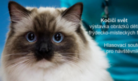 Mezinárodní výstava koček Frýdek-Místek, hala Polárka 29. 4. 2017
